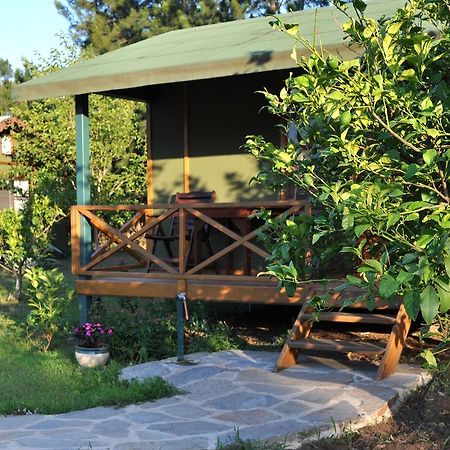 Hotel Hobbit Evi Çıralı Pokój zdjęcie